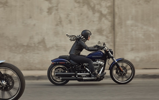 Personalização The One Harley-Davidson®